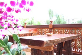 The Orchid House