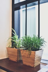 The Rommanee Classic Guesthouse