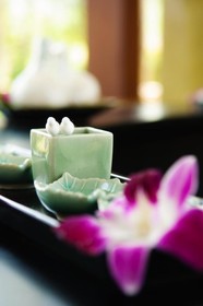 Barceló Coconut Island