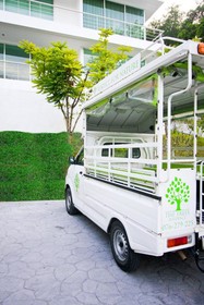 Trees Club Resort