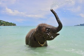 Tri Trang Beach Resort