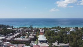 Palmetto Condominium