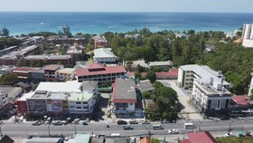 Palmetto Condominium