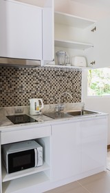 Palmetto Condominium