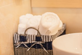 Palmetto Condominium