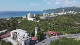 Palmetto Condominium