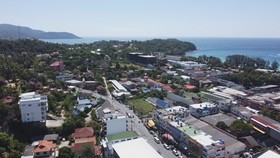 Palmetto Condominium