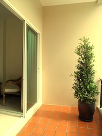 Huga Place