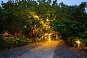 Palm Village