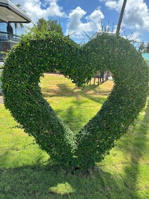 Space House Hotel Phuket