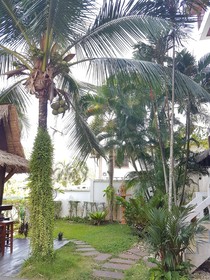 Baan Chayna Lounge Resort