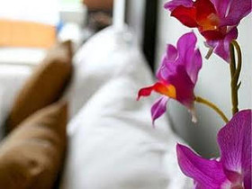 Benyada Lodge