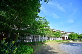 The Touch Green, Naiyang