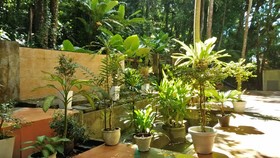 Anyavee Ban Ao Nang Resort
