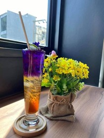 Aonang Dugong