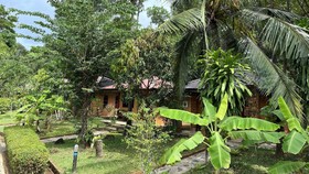 Doo Dee Boutique Resort by Swiss Chalet