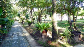 Doo Dee Boutique Resort by Swiss Chalet