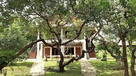 Doo Dee Boutique Resort by Swiss Chalet