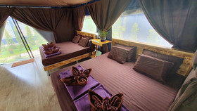 Moonshine Resort
