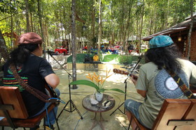 Chestnut Hill Eco Resort
