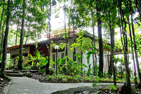 Chestnut Hill Eco Resort