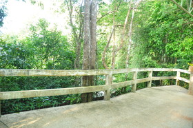 Chestnut Hill Eco Resort