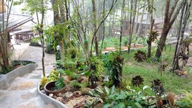 Chestnut Hill Eco Resort