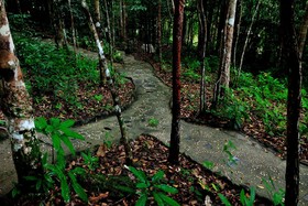 Chestnut Hill Eco Resort