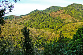 Chestnut Hill Eco Resort