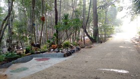 Chestnut Hill Eco Resort