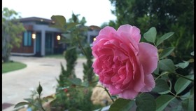 Nutchana Hill Boutique Hotel