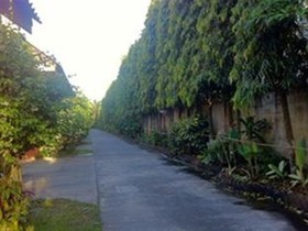 Palm Chalet Resort