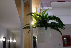 Siam Mansion Hat Yai