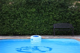 Topaas Residency & Swimming Pool