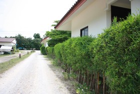 Bamboo Resort