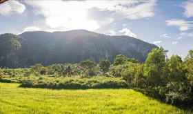 Ruen Phu Ngam Homestay