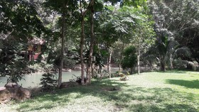 Baan Khao Sok Resort