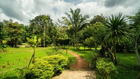 Baan Khao Sok Resort