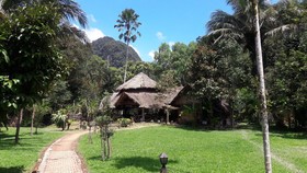 Baan Khao Sok Resort