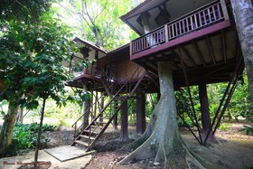 Baan Khao Sok Resort
