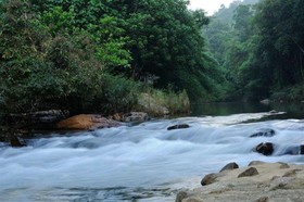 Khaosok Rainforest Resort