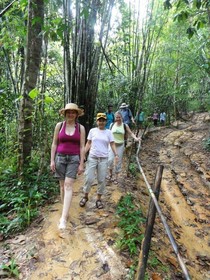 Khaosok Rainforest Resort