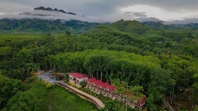 Khao Sok River Home Resort
