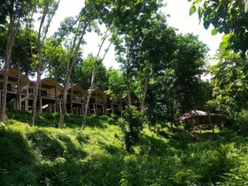Khao Sok River Home Resort