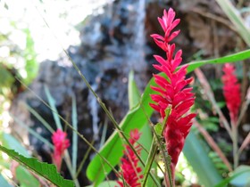 Khao Sok Silver Cliff Resort