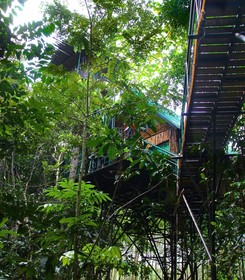 Khao Sok Tree House Resort