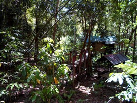 Khao Sok Tree House Resort