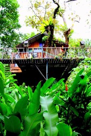 Khao Sok Tree House Resort