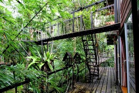 Khao Sok Tree House Resort