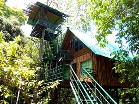 Khao Sok Tree House Resort